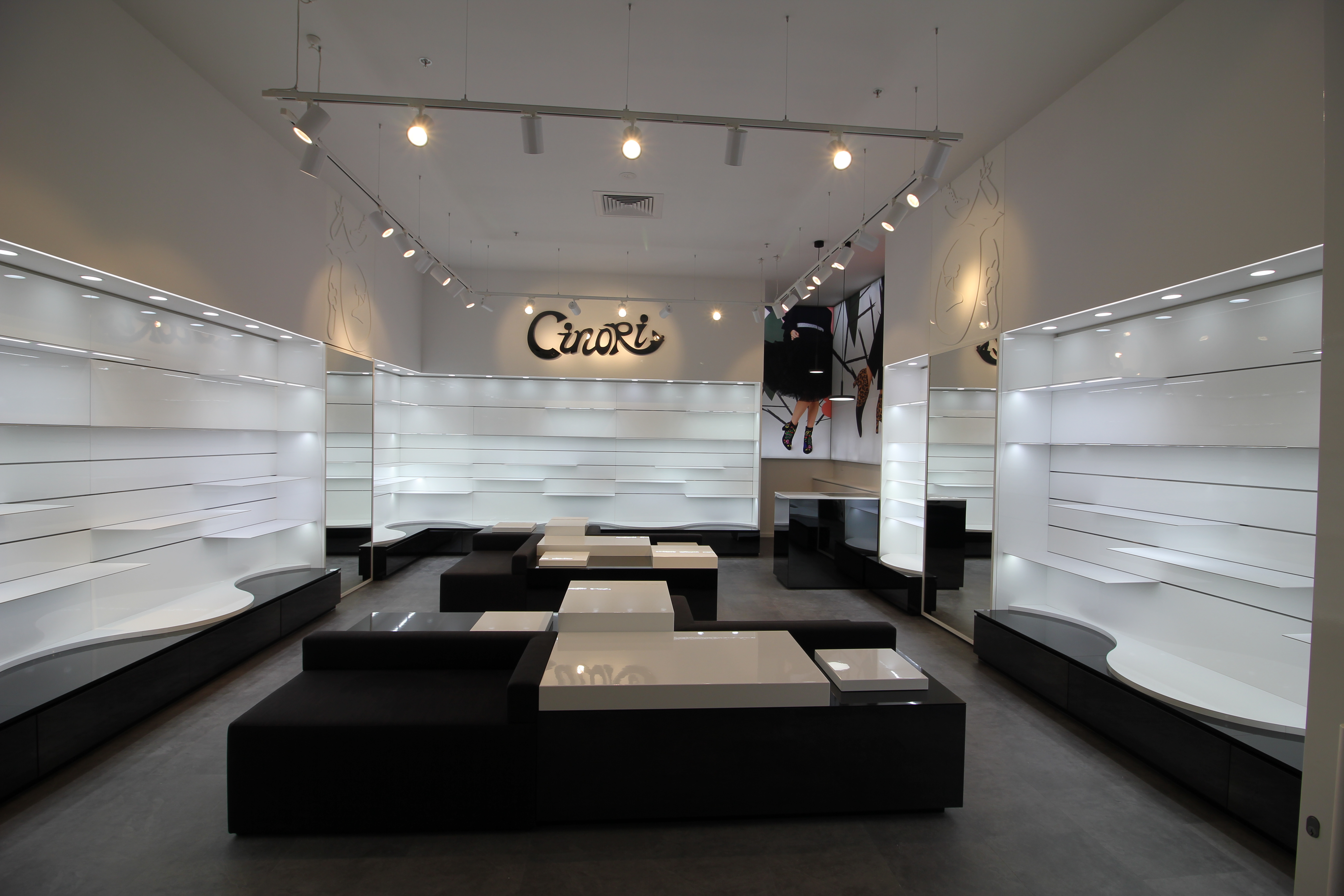 Cinori Kotara_03.JPG