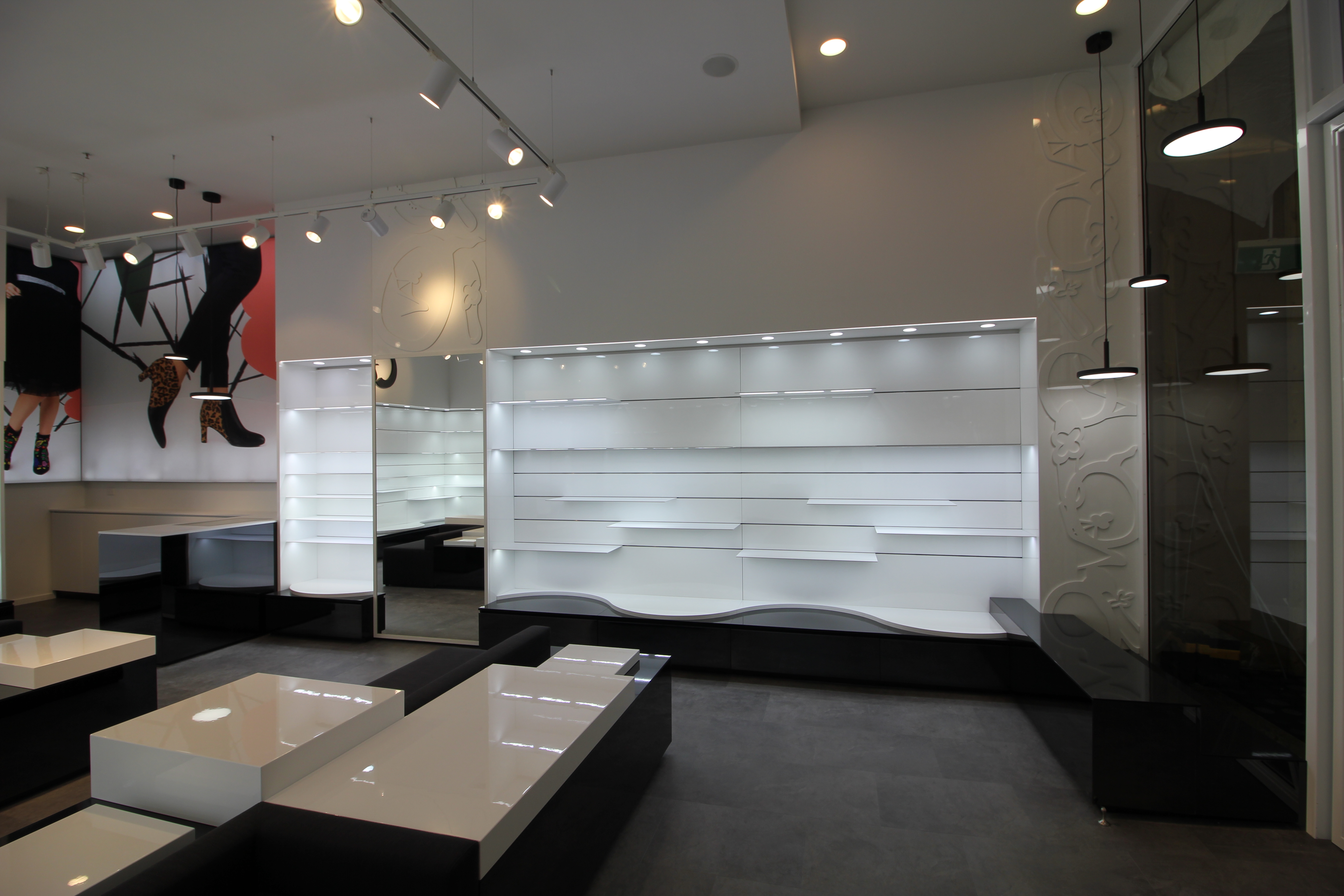 Cinori Kotara_05.JPG