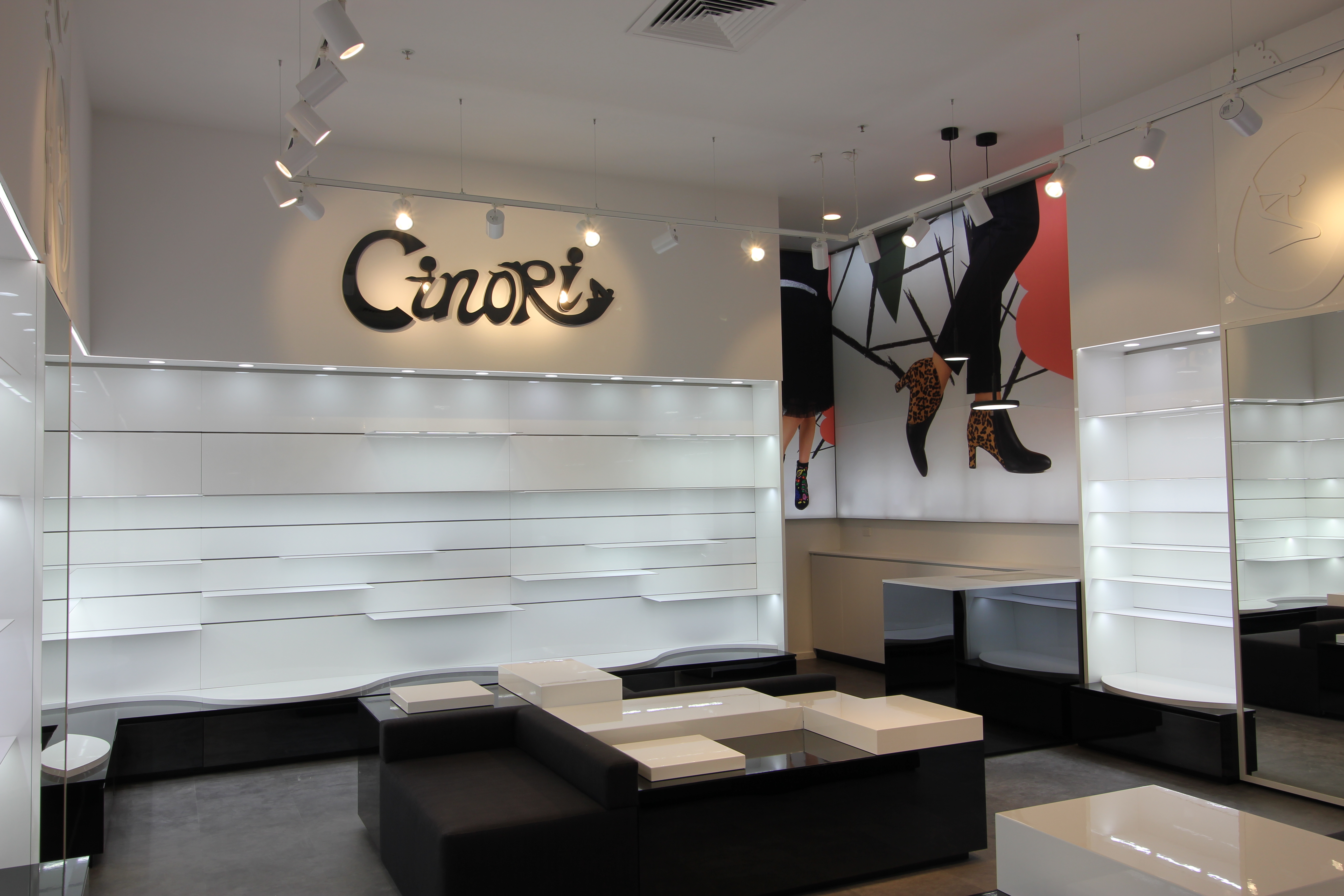 Cinori Kotara_08.JPG